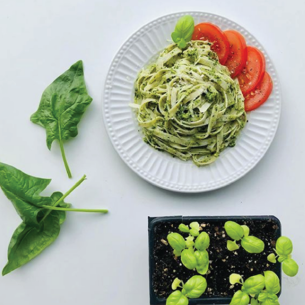 Spinach & Basil Pesto